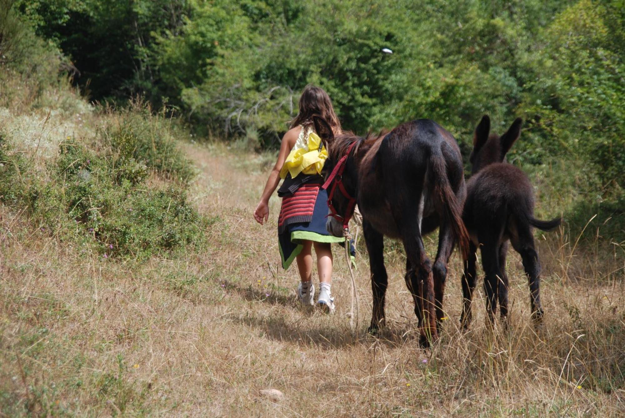 Agroturismo Mari Cruz Villanueva de Arce Exterior foto